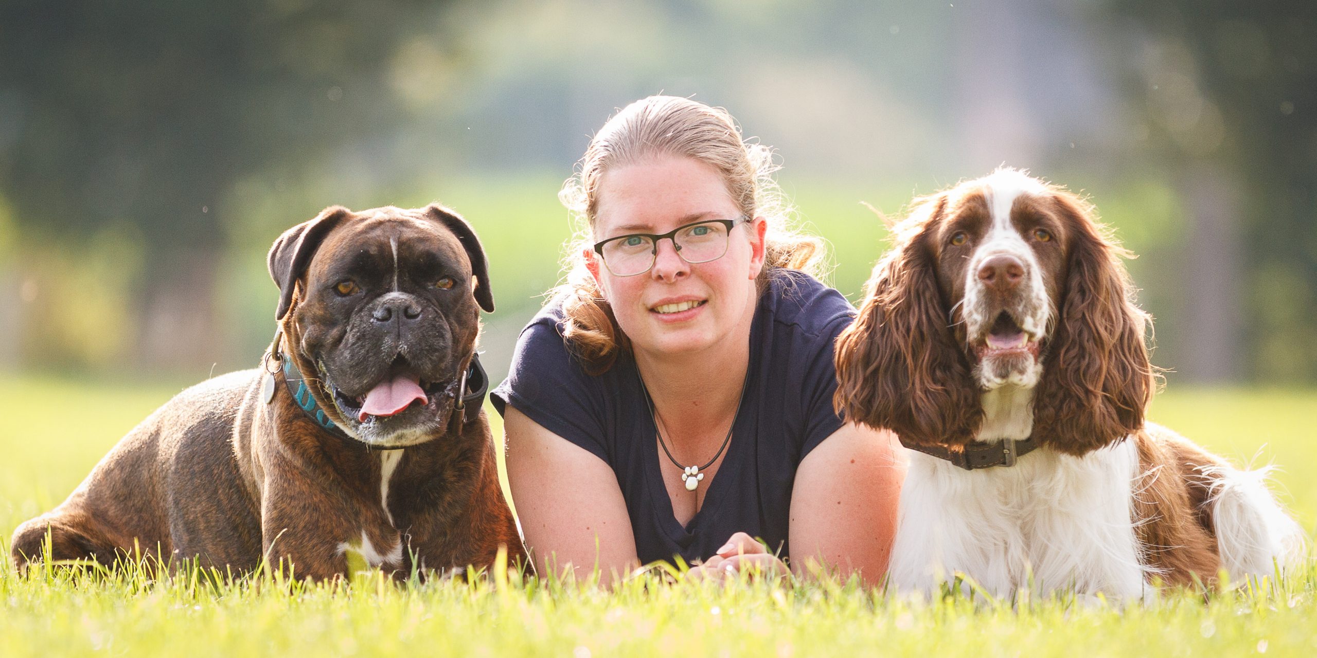 Hond liggend