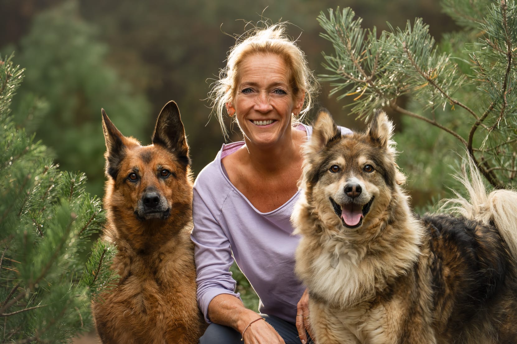 Hond liggend